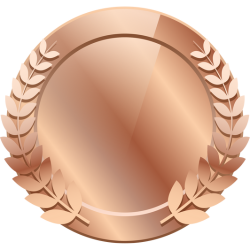 Bronze Program (Face)